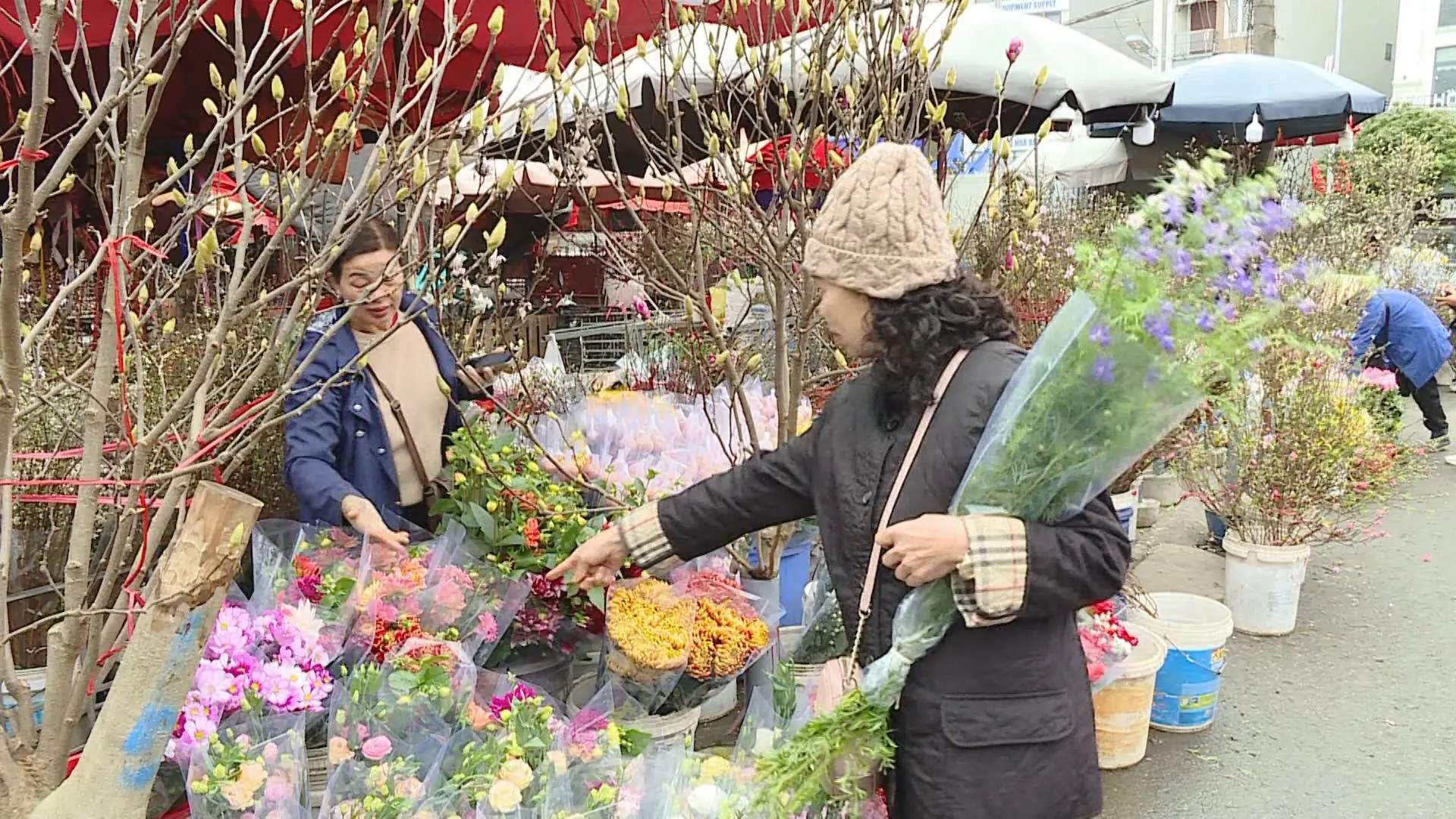 Chợ hoa Hà Nội rộn sắc xuân